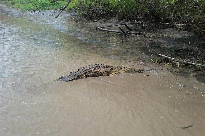 Wildlife Tour at Palo Verde National Park - Diverse Habitats