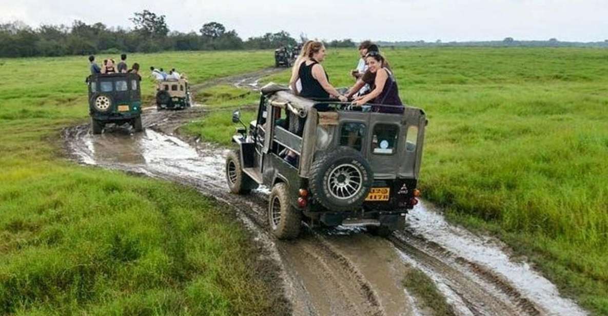 Wilpattu National Park With Safari Jeep & Entrance Ticket - Wildlife and Landscape Experience