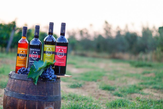 Wine & Oil Tasting Experience - Tour Overview
