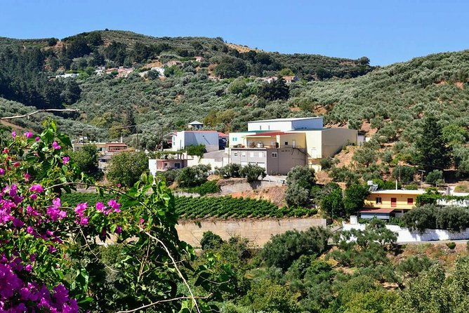 Wine & Olive Oil Tasting One Day Private Tour in Crete - Personalized and Private Tour