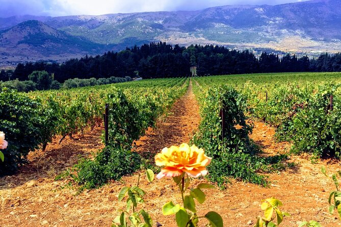 Wine Tasting and Culture - Highlights of the Tour