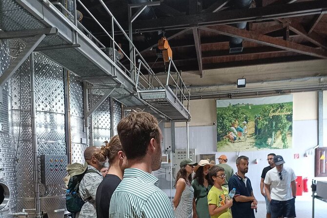 Wine Tasting Experience From Thessaloniki - Participant Eligibility and Accessibility