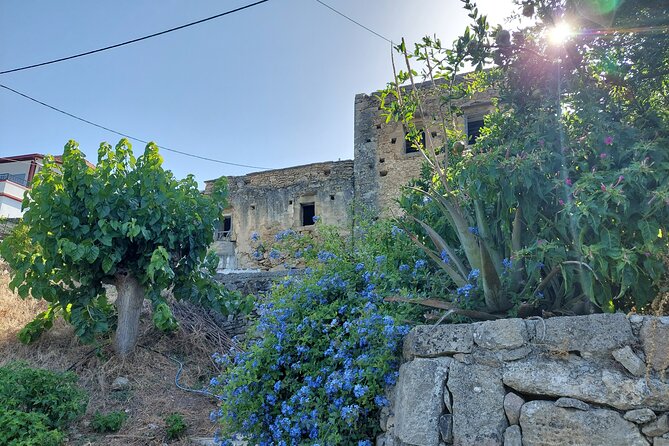Wine Tasting: Meet the Cretan Vineyard at West Chania - Reviews and Booking Information