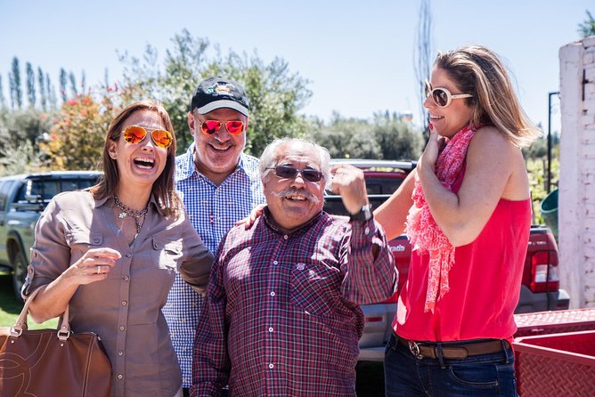 Winemaker-Led Private Exclusive Wine Tour - Gourmet Lunch - Experience Highlights