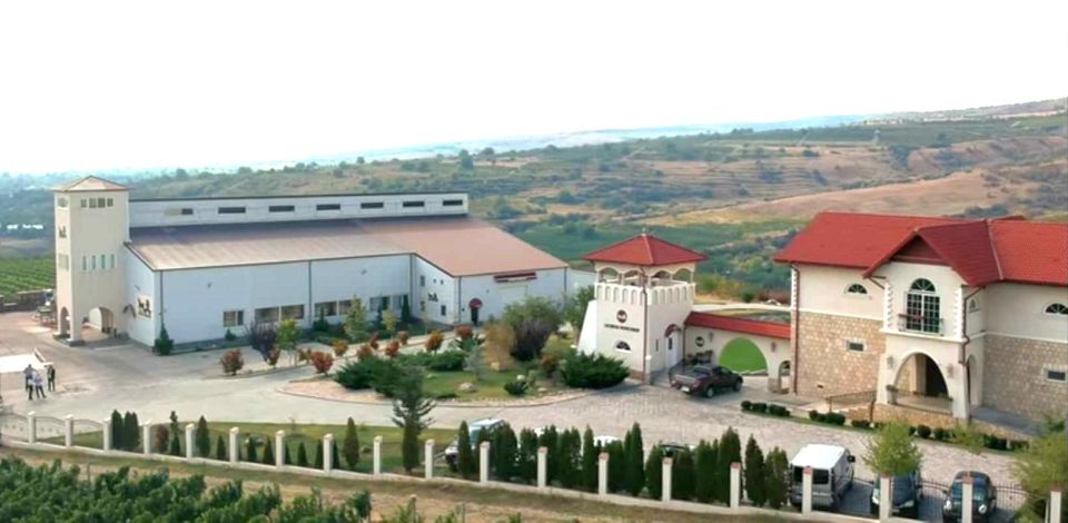 Winery Touring & Private Wine Tasting - One Day Private Tour - Itinerary and Activities