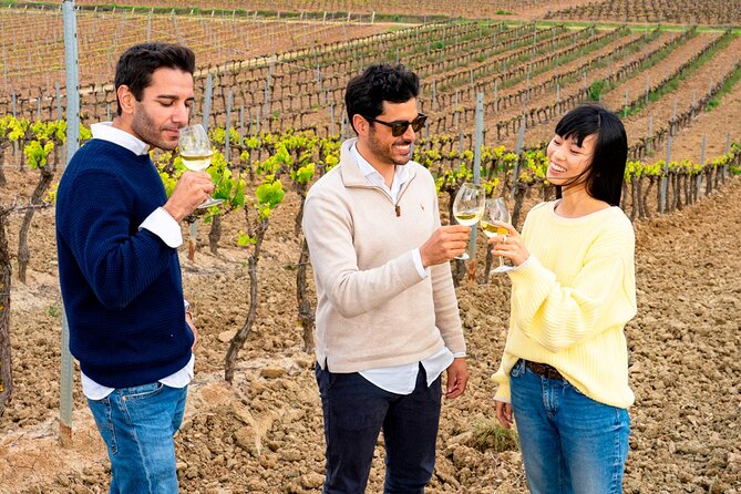 Winery Visit & Setubal Fish Market Tour With Tasting From Lisbon - Itinerary Highlights