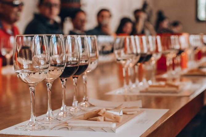 Wines and Paisajes: Unique Experience in Concha and Toro - Grape Varieties and Gardens