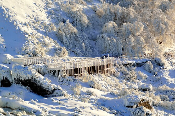 Winter Adventure: Niagara Falls Cross-Border Tour From Canada - Travel Requirements