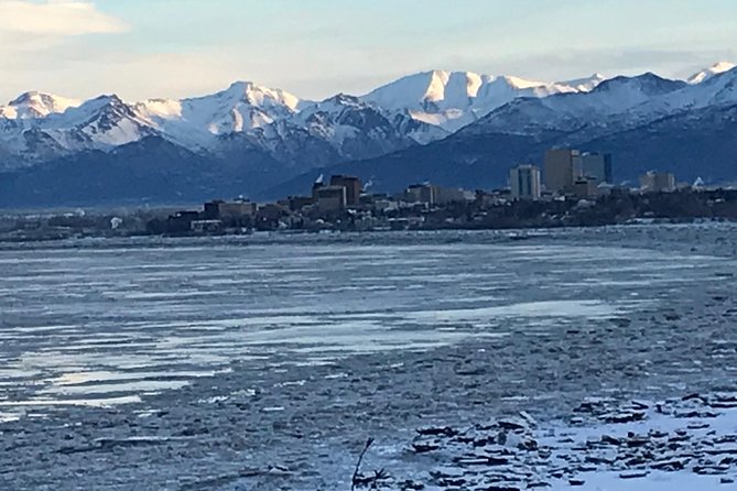 Winter - Anchorage All Around City Tour - Highlights of the Experience