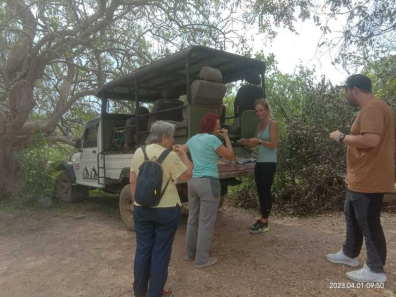 Yala National Park Budget Safari - Pricing and Booking