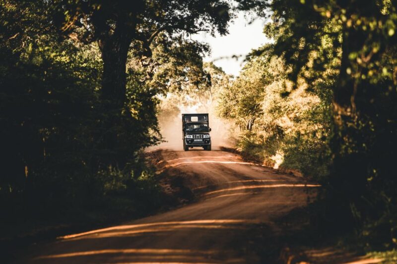 Yala National Park: Morning or Afternoon Game Drive - Diverse Wildlife