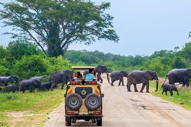 Yala National Park Private Safari (All Inclusive) From Mirissa - Itinerary Highlights