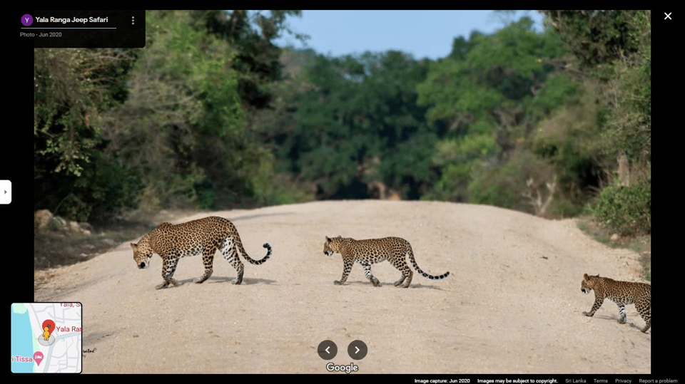 Yala Safari Day Tours - Restrictions and Important Notes