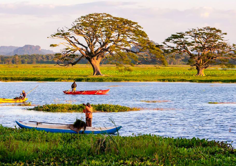 Yala: Sunset Tour by Boat & Beach BBQ Dinner - Experience Highlights