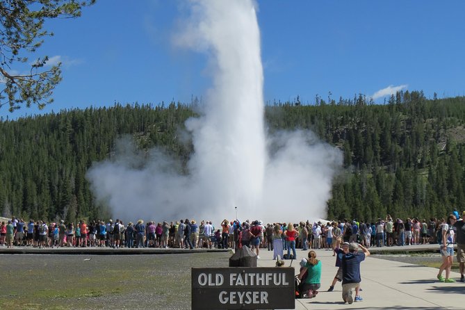 Yellowstone National Park - PRIVATE Full-Day Lower Loop Tour From Jackson Hole - Meal Options Included