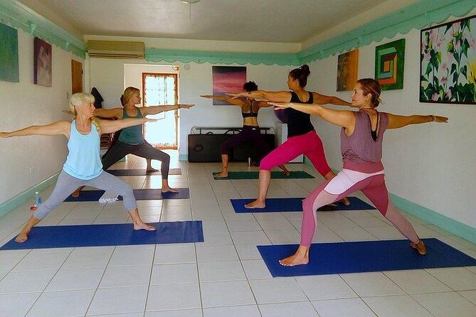 Yoga and Meditation, Group or Private Sessions in Nevis - Booking and Cancellation Policies