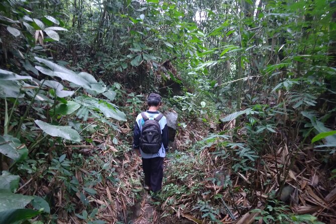 Yogyakarta Countryside Walking Tour - Highlights of the Experience
