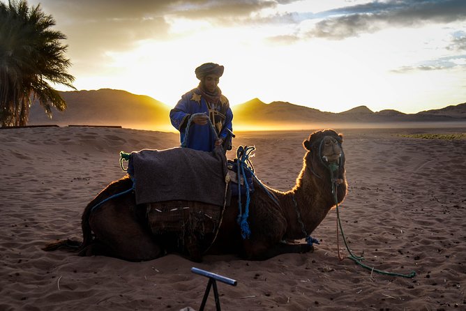 Zagora Desert: 2-Day Trip From Marrakesh - Itinerary for Day 2