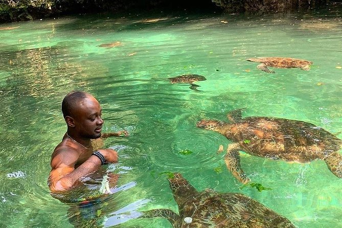 Zanzibar Adventures - Key Amenities Offered