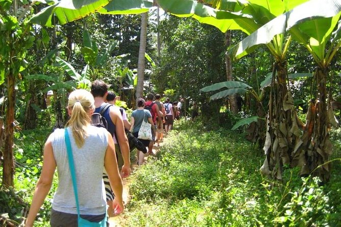 Zanzibar Cooking Class & Spice Tour - Tour Schedule and Duration