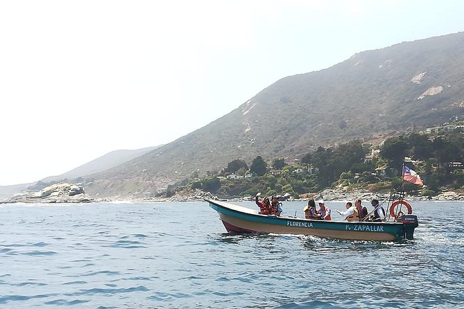 Zapallar and Cachagua Island Experience - Diverse Flora and Fauna