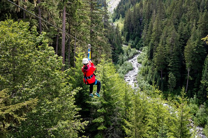 Zipline Adventure in Whistler - Tour Options Available