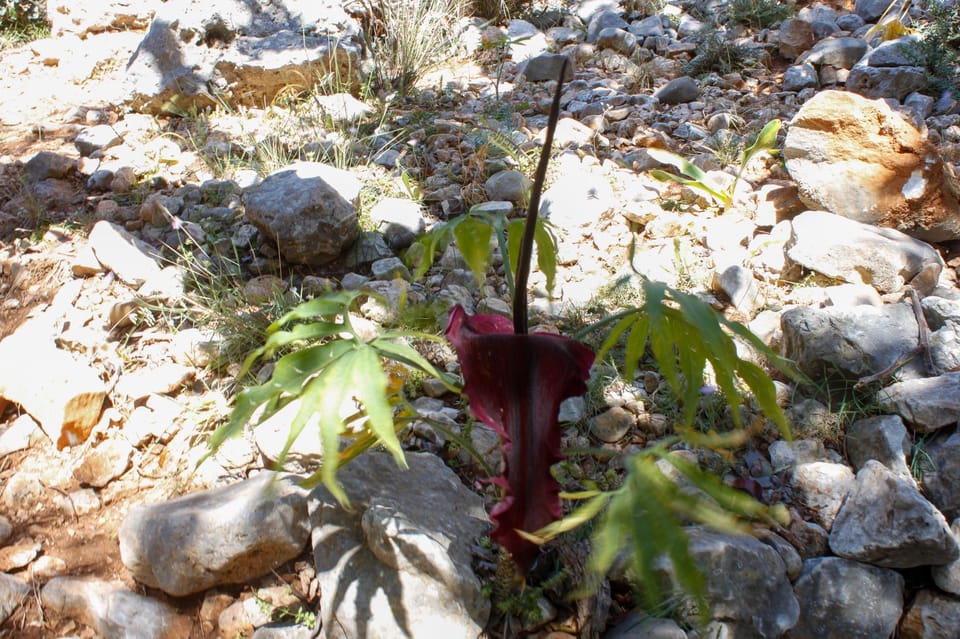 Zorbas the Greek Beach. Gouverneto Monastery Half Day Hiking - Itinerary Details