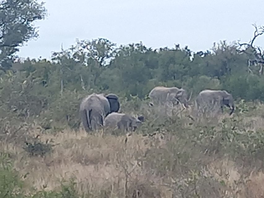 2days Kruger National Park - Good To Know