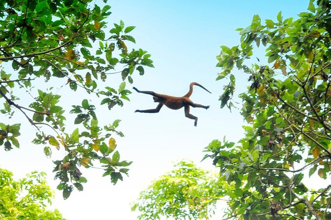 3 Day / 2 Night Tour in Tortuguero - Tour Overview