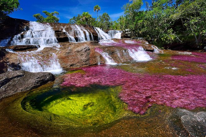 3-Day Caño Cristales (Rainbow River) From Bogotá - Good To Know