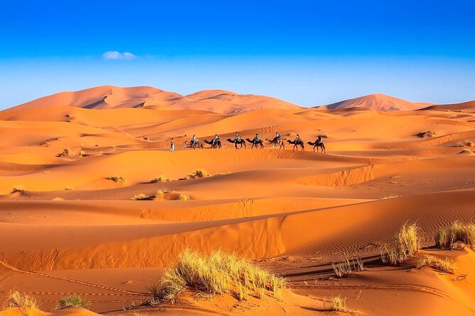 3-Day Desert Tour Marrakech to Fes via Merzouga - Good To Know