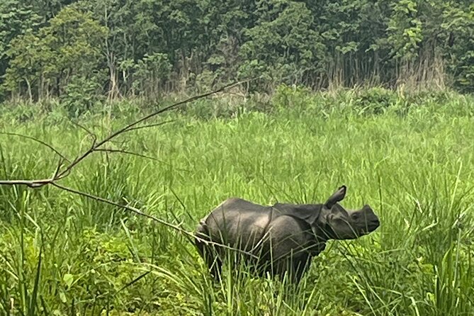 3-Day Guided Safari Tour in Chitwan National Park in Nepal - Overview of Chitwan National Park