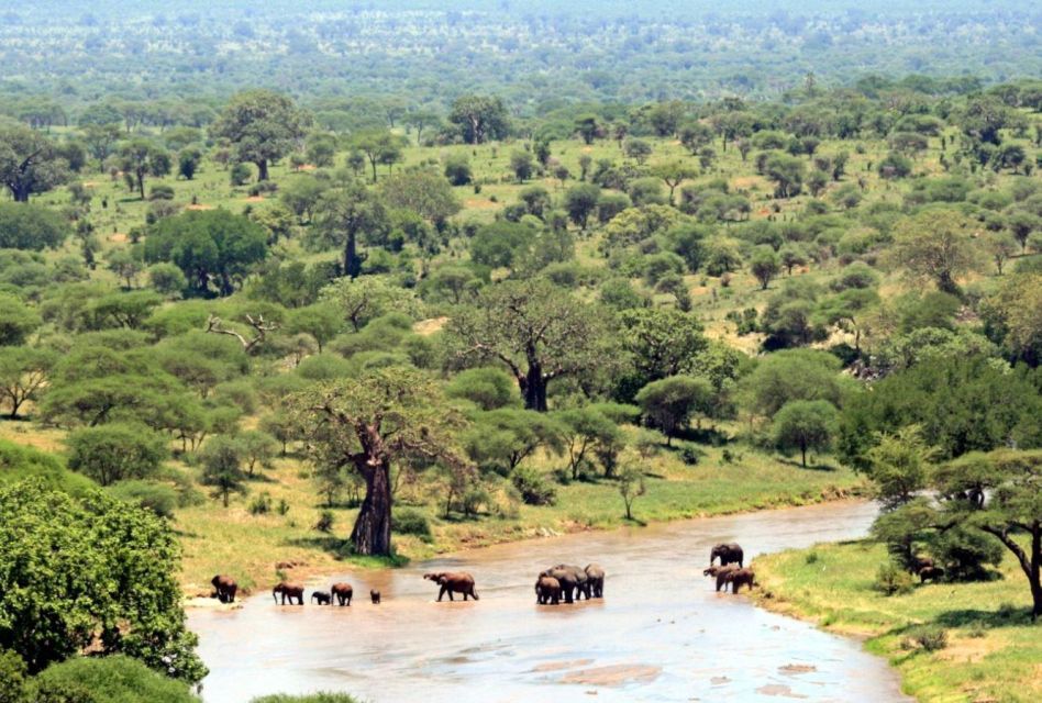 3 Day Hluhluwe & Isimangaliso Wetlands Pk Tour From Durban - Good To Know