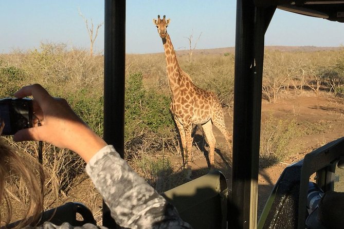 3-Day Kruger National Park Open Vehicle Safari - Overview of the Safari