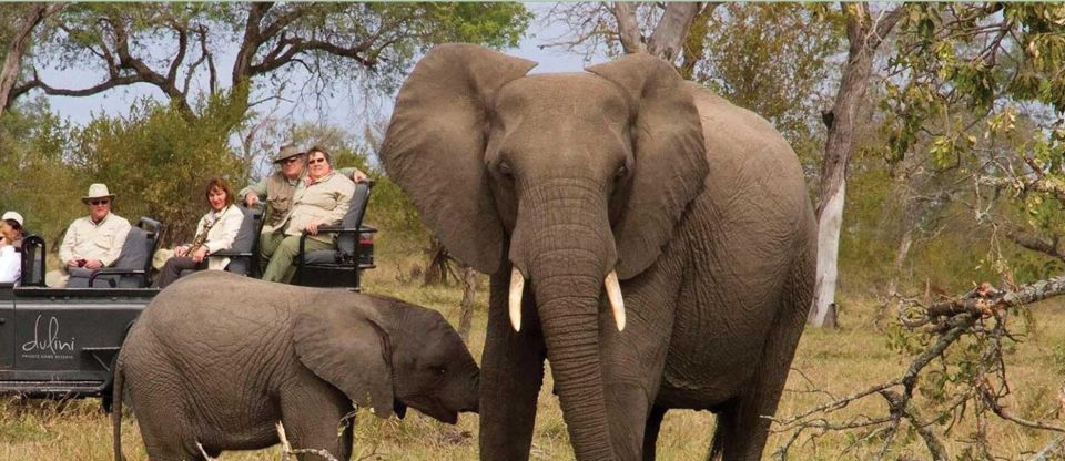 3 Day Kruger National Park Private Tour From Johannesburg - Good To Know