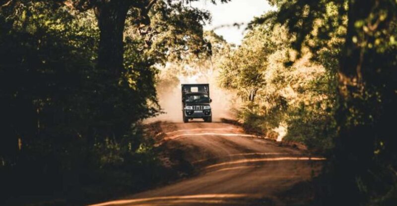 3-Day Luxury Glamping in Yala National Park - Good To Know