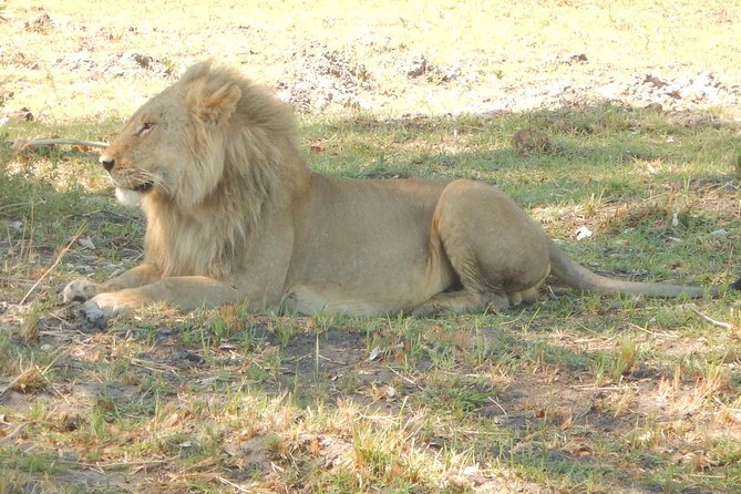 3-Day Moremi Game Reserve- by Walking Stick Safaris - Good To Know
