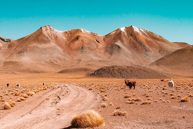 3-Day Private Tour of Uyuni Salt Flats and Colored Lagoons Roundtrip From Uyuni - Day 1 Itinerary