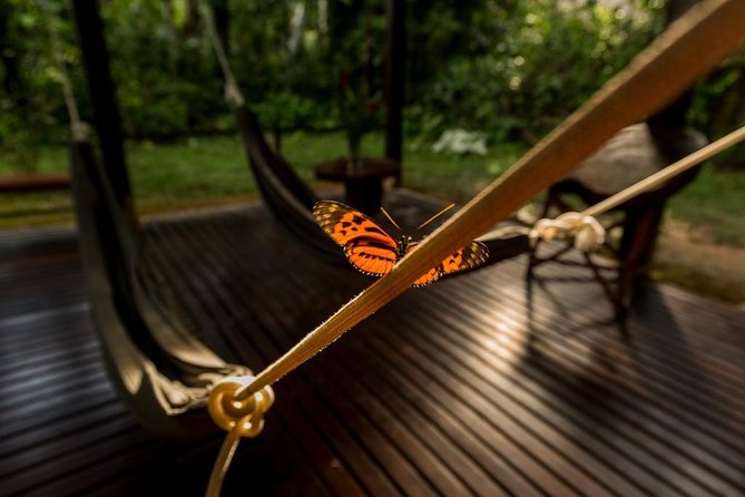 3 Day Tambopata Amazon Jungle Tour at Posada Amazonas - Good To Know
