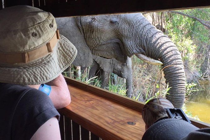 3-Day Tour of Kruger National Park From Skukuza Airport - Good To Know