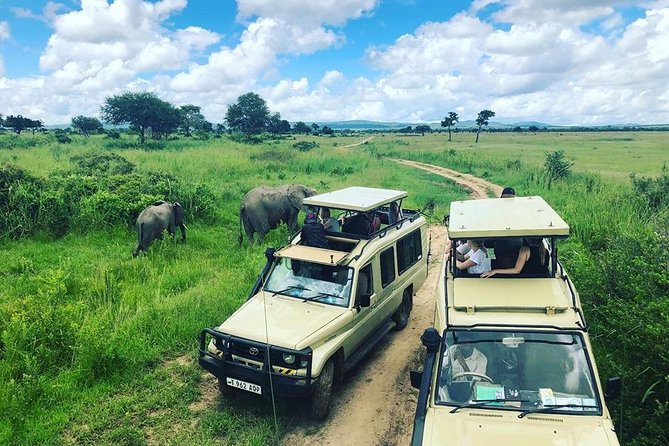 3 Days 2 Nights Adventures At Mikumi National Park - Good To Know