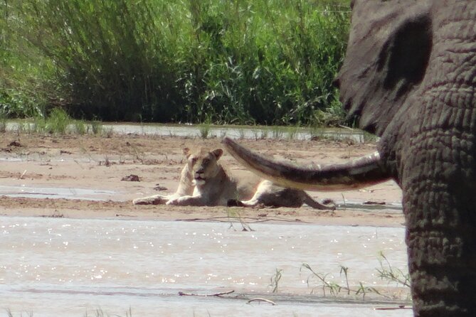 3 Days Durban Safari Tour Package - Good To Know