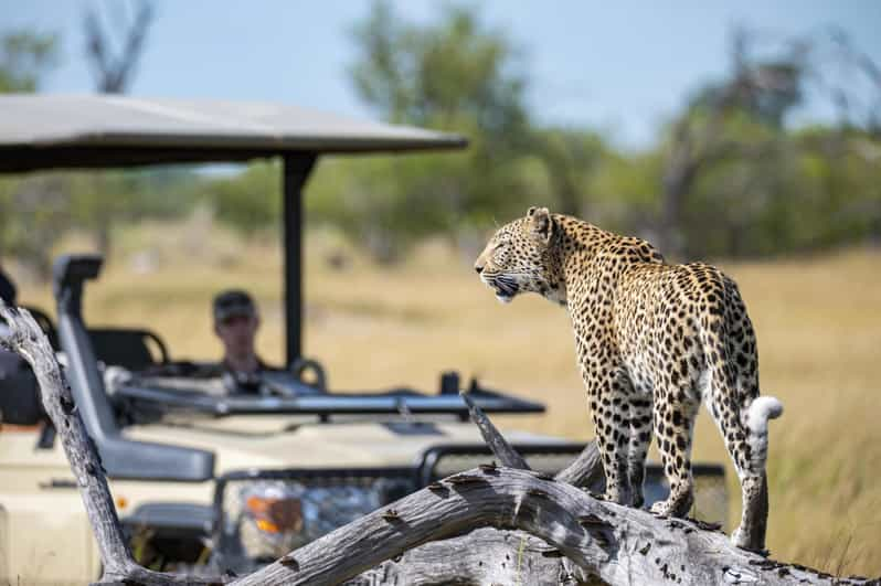 3 Hour Blue Canyon Private Reserve Game Drive - Good To Know