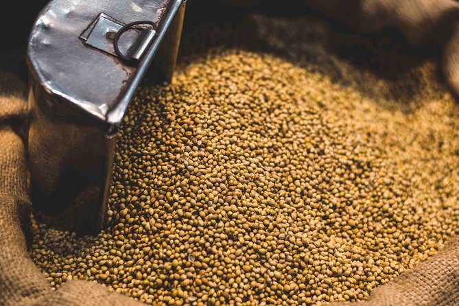 3-hour Guided Small Group Tour of Spice Market and Old Delhi