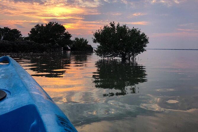 3-Hour Kayaking Eco Adventure - Mangrove Purple Island - Good To Know