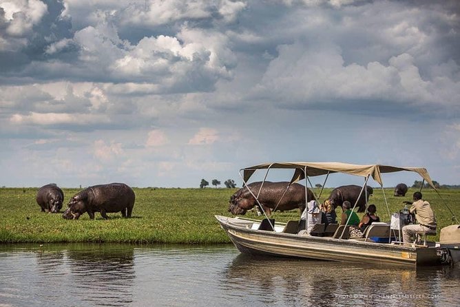 3 Hours Chobe River Boat Cruise - Good To Know