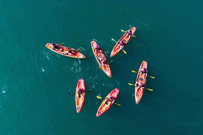 3 Hours Kayaking in Kotor Bay in Montenegro - Good To Know
