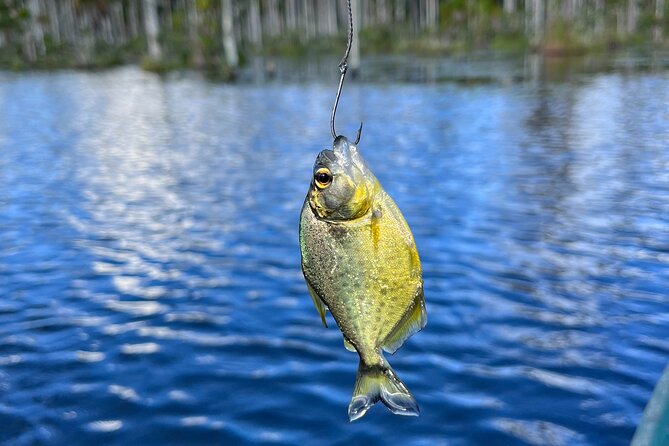 3 Hours Private Piranha Fishing in Lake Yacumama - Good To Know