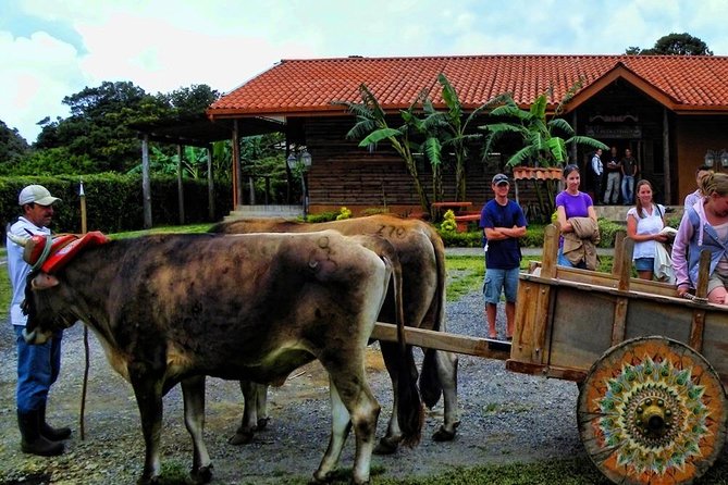 3-in-1 Monteverde Cloud Forest Coffee, Chocolate and Sugar Cane Tour - Good To Know
