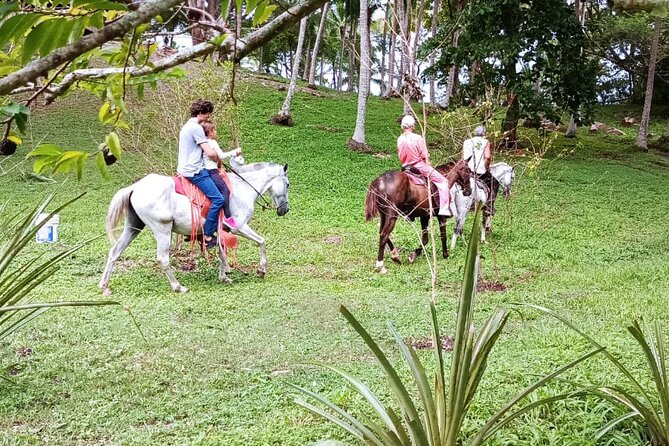 1 1/2 Hours Tour Horseback Riding and Visiting the Beach - Whats Included